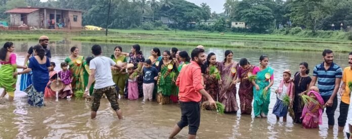 ಶ್ರೀ ಶಾರದಾ ಶಿಕ್ಷಣ ಸಂಸ್ಥೆಯಲ್ಲಿ ಗದ್ದೆಯಲ್ಲಿ ಮಕ್ಕಳ ಸಂಭ್ರಮ