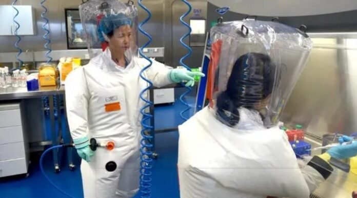 ಕೋವಿಡ್‌ ಬಳಿಕ ಚೀನಾದಲ್ಲಿ ಬಾವಲಿ ಮೂಲಕ ಮನಷ್ಯರಿಗೆ ಹರಡುವ HKU5-CoV-2 ಎಂಬ ವೈರಾಣು ಪತ್ತೆ !